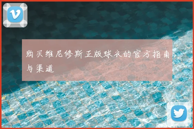 购买维尼修斯正版球衣的官方指南与渠道